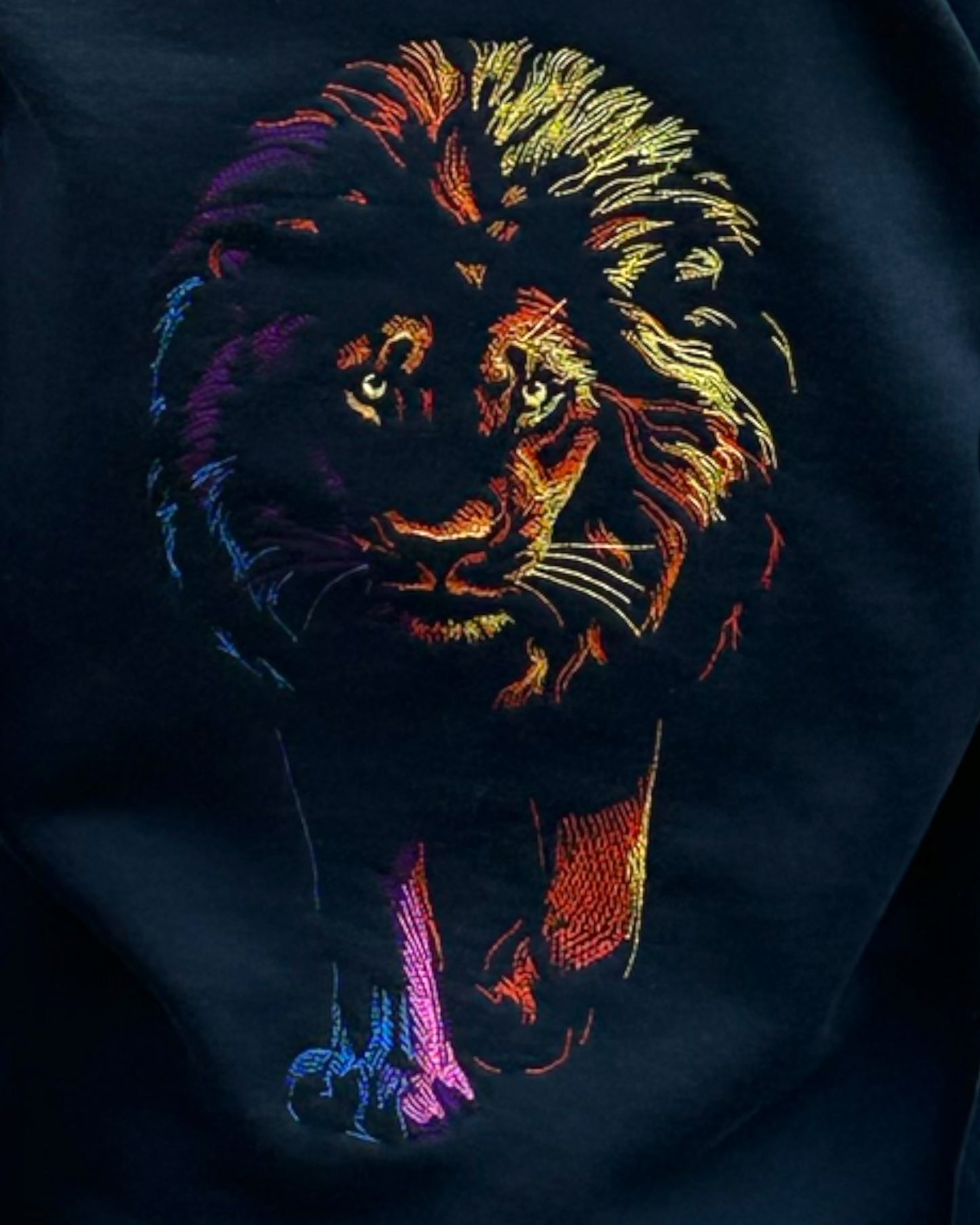 Light & Mystery Lion Hoodie
