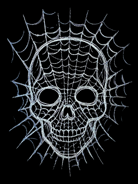 Web and Skull short sleeve black t-shirt