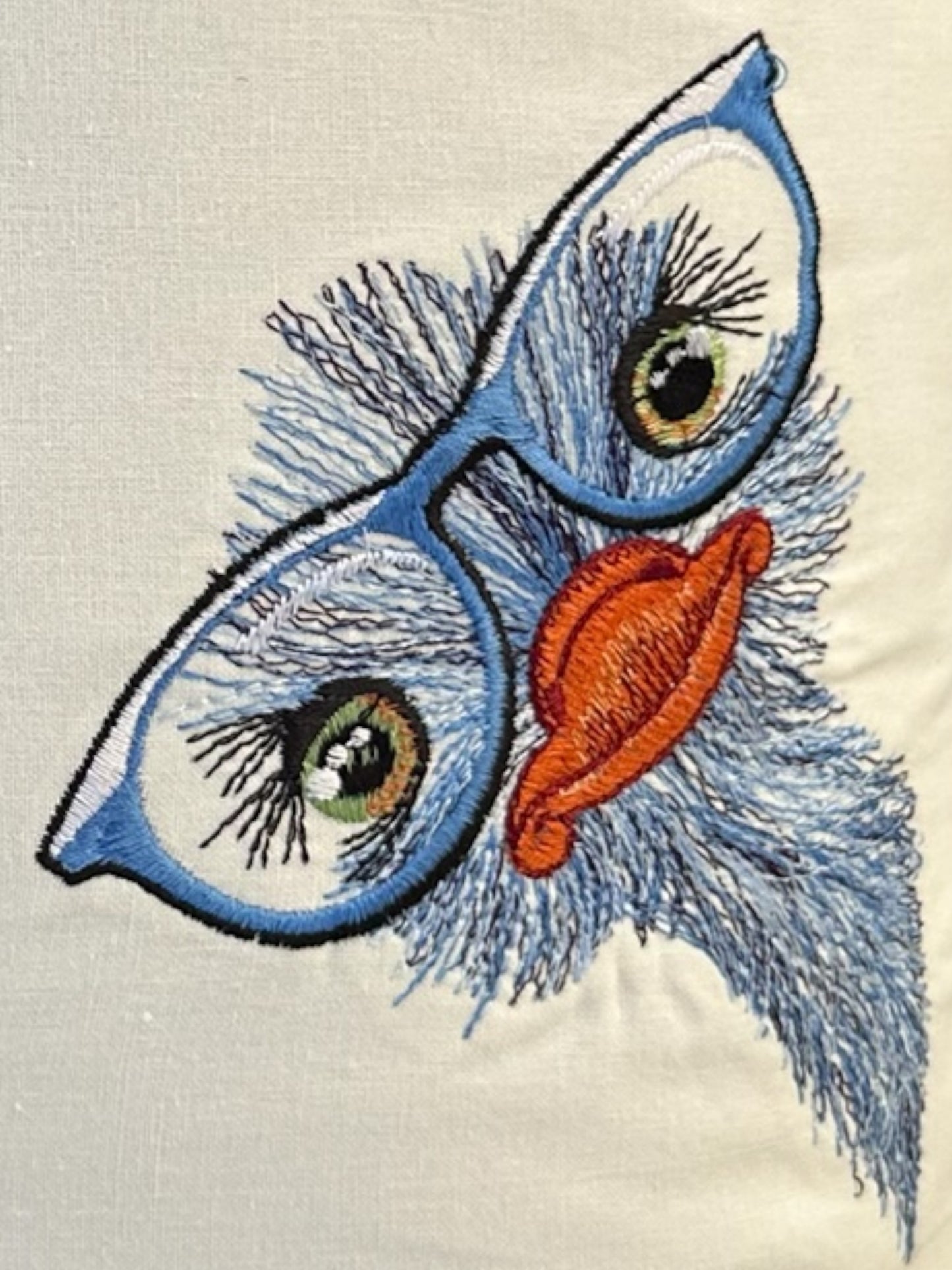 Hand Reading Pillow - Eye Glass Wearing Ostriches