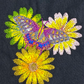 Butterfly and daisies bandana